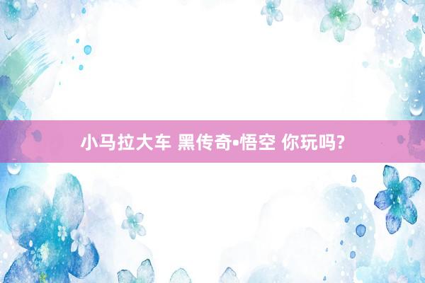 小马拉大车 黑传奇•悟空 你玩吗?