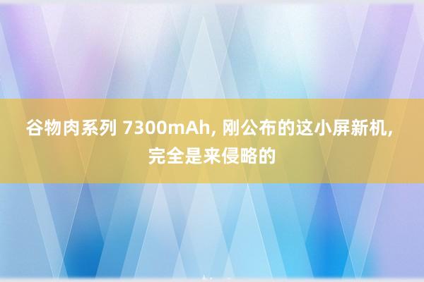 谷物肉系列 7300mAh， 刚公布的这小屏新机， 完全是来侵略的