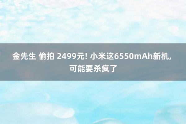 金先生 偷拍 2499元! 小米这6550mAh新机， 可能要杀疯了